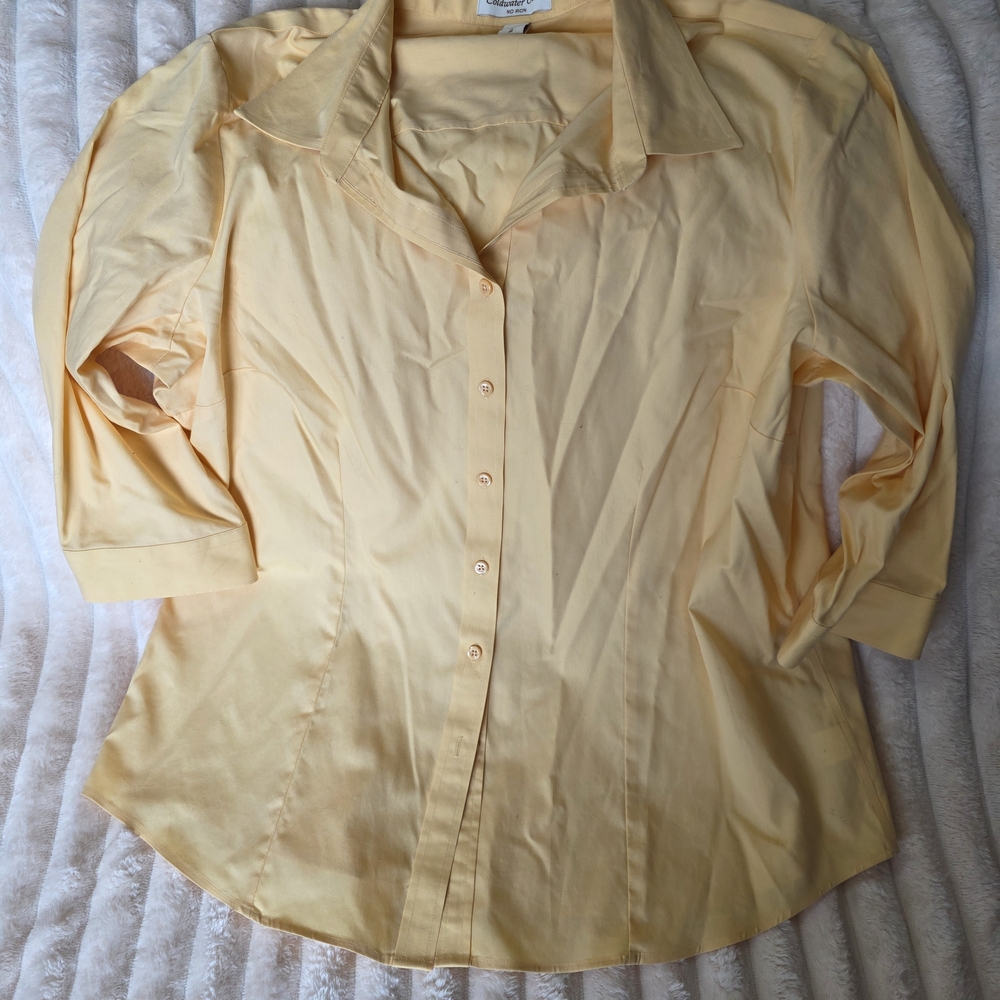 Coldwater Creek Pale Yellow Button-Front Blouse